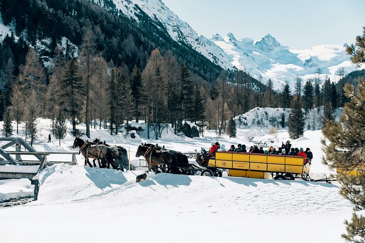 Val Roseg, Wohli's Kutschenbetrieb 