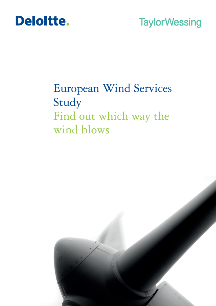 European Wind Service Study 2012