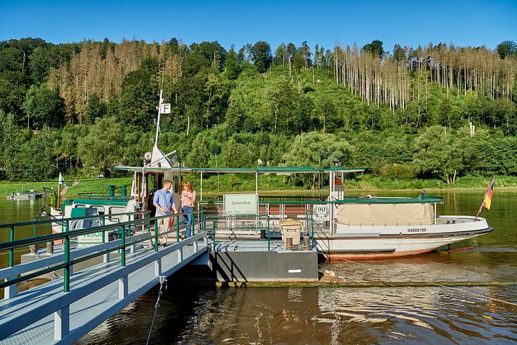 Bad Schandau_Schmilka_Ausflug_mit_dem_Schiff