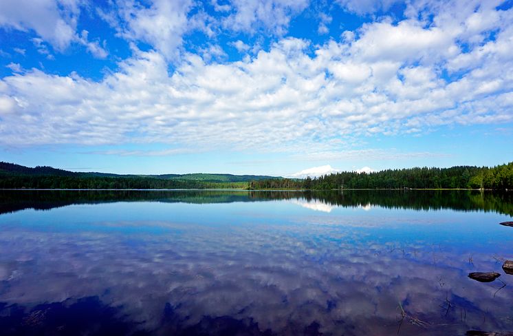 Summerday by Vestflaten, Oslo