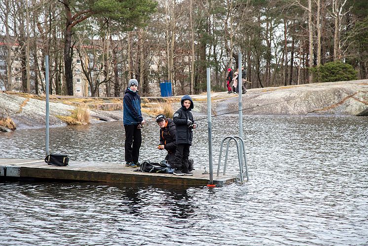 fiskebergsjön7_1000.jpg