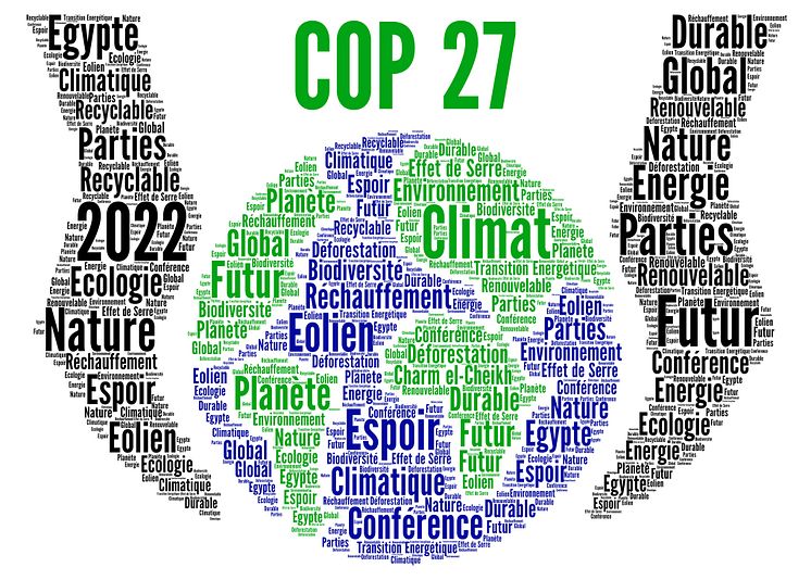 COP27_iStock-1366035146