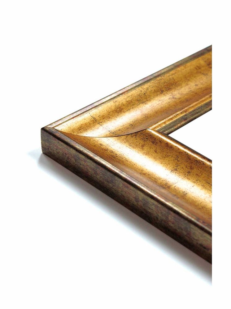 ram zoom guld