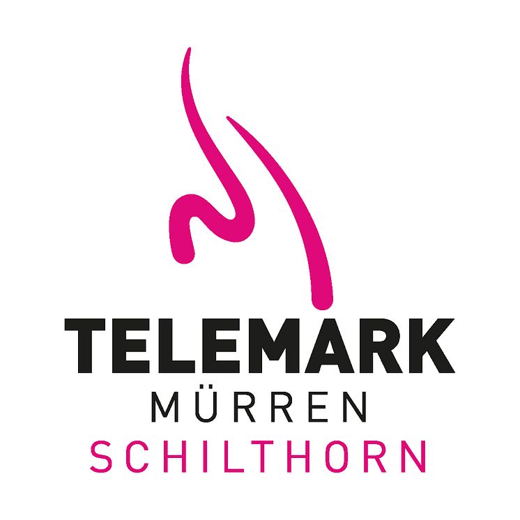 Logo Telemark WM