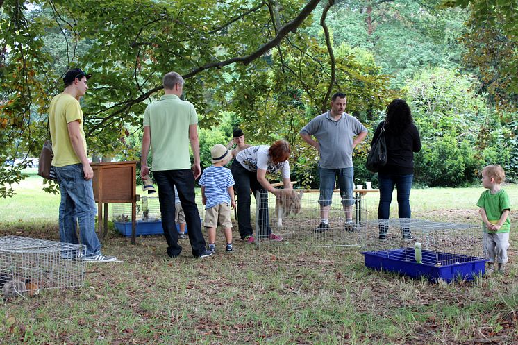 Tag der offenen Tür im Kinderhospiz: Bärenherz-Sommerfest lockt 1.000 Besucher in den Kees’schen Park