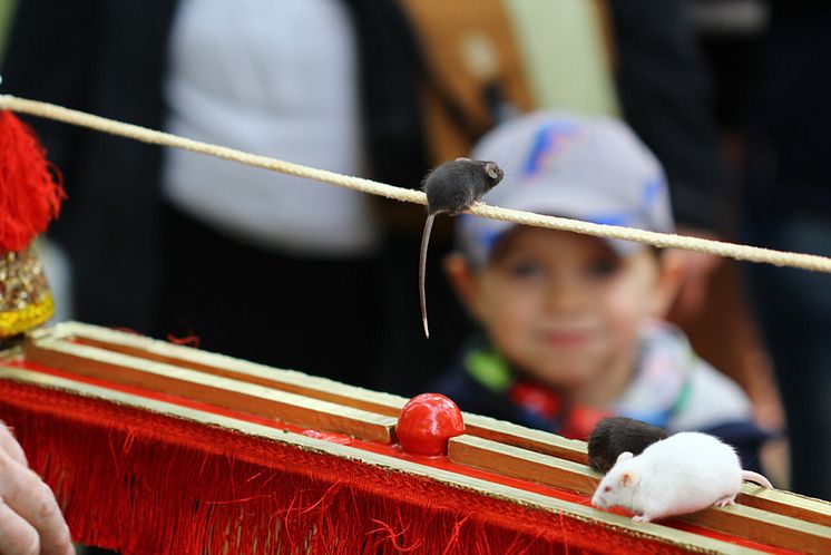 Tag der offenen Tür 2015