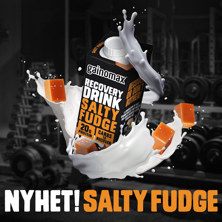 gainomax_saltyfudge_1080x1080_2