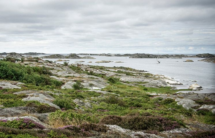 HaV-analys: Fiske bör regleras ytterligare i 30 marina skyddade områden i Sverige 