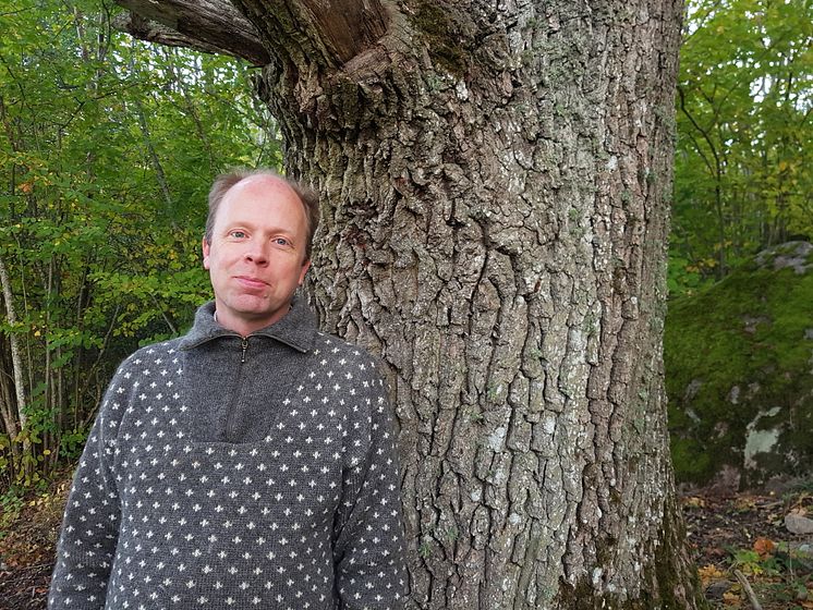 Mulmholkar ger nya svar på frågor om biologisk mångfald