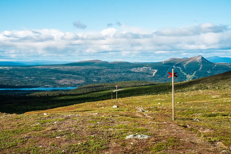 Sommar i Lofsdalen