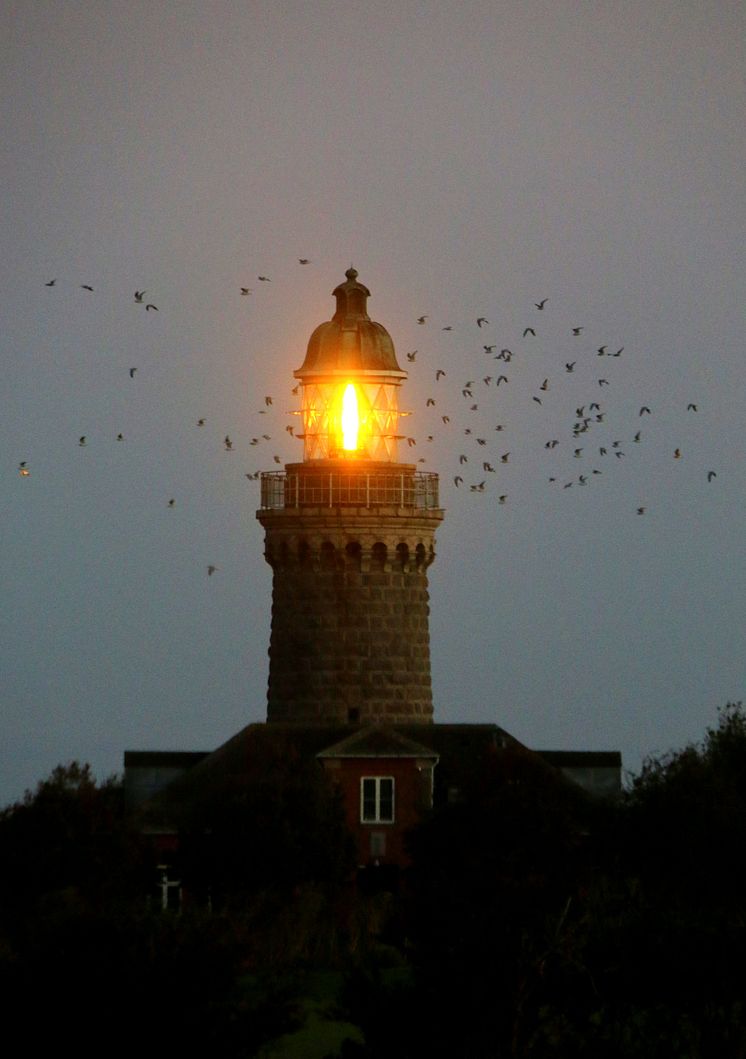 Ærø_Skjoldnæs Fyr @ Bjørg Dalheim.JPG