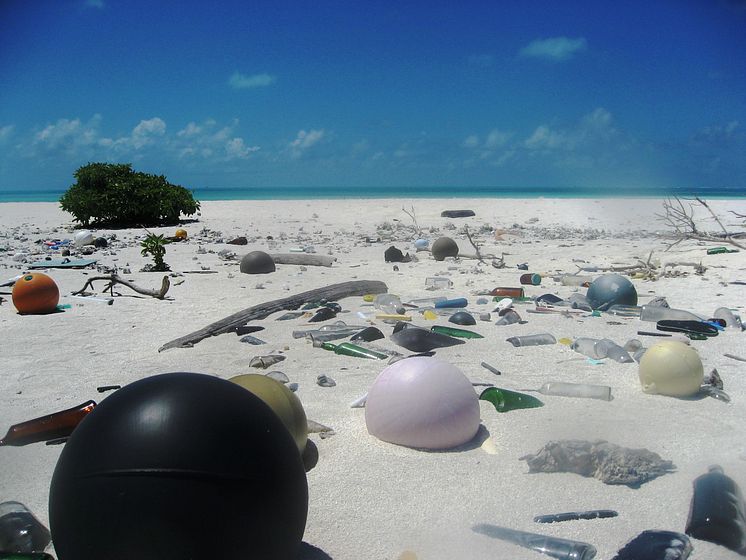 1.Out to Sea? The Plastic Garbage Project