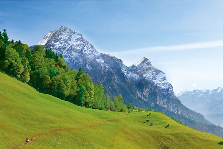 Castello Alps Selection - landscape