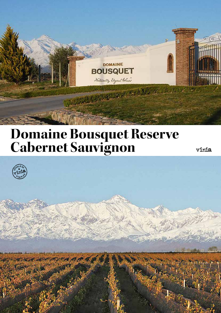 Redaktionell artikel - Domaine Bousquet Reserve Cabernet  Sauvignon 