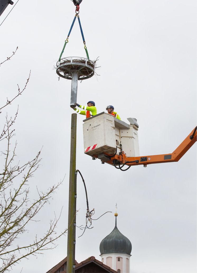 L20240222_Sicherung Storchennest Steinekirch Zus