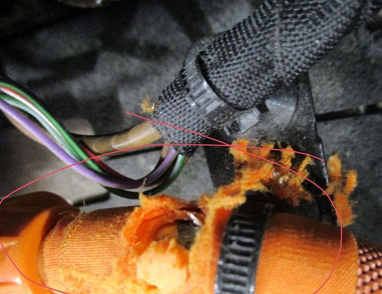 elbil - mus har gnaget på en høytspentkabel