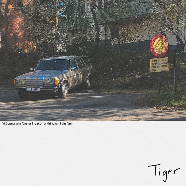 Tiger omslag Lånad bil.png
