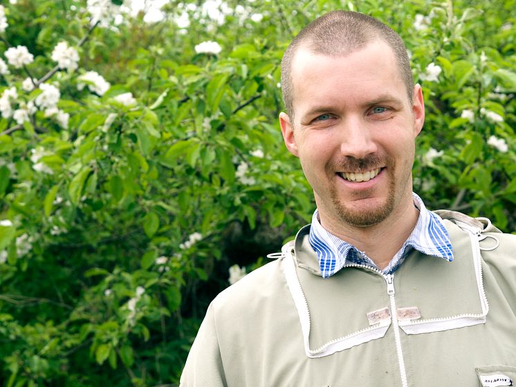 Biodlaren Martin Svensson från företaget Binära sätter ut bin på Kiviks musteri.