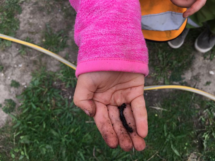 En flicka från Sorgenfri förskola visar stolt upp sitt fynd i skolträdgården hos stiftelsen Botildenborg, Malmö. 