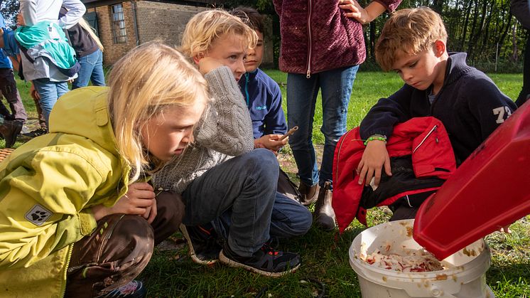 Louisenlund Forschercamp MINT Akademie Grundschule