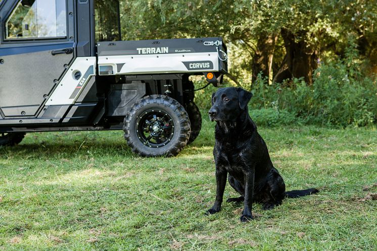 Terrain EX4 (1)