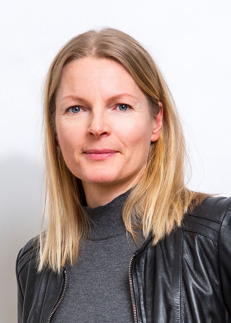 Pernilla Rönnlund, Organisationskonsult, Previa