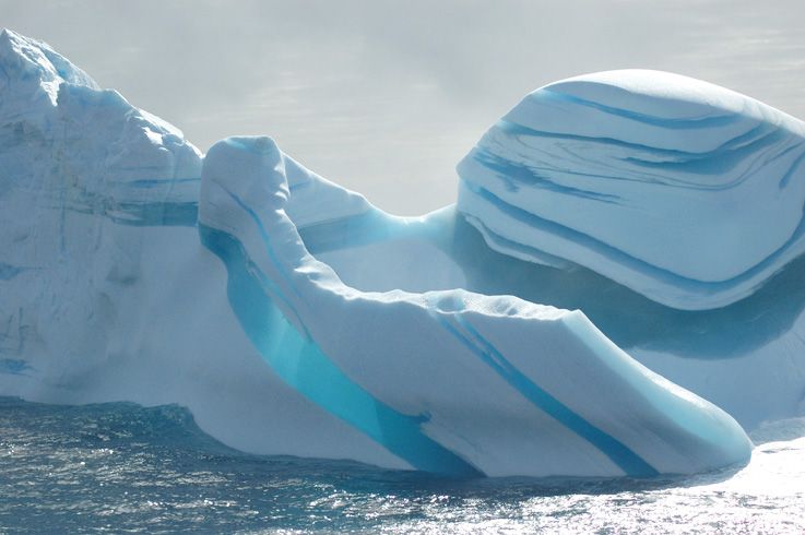 Stor besvikelse efter nej till marina skyddade områden i Antarktis 