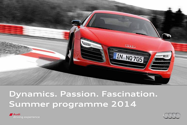 Audi driving experience