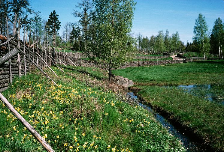 Gärdsgård Stensjö by, Småland. Foto: Mark Markefelt ©Nordiska museet