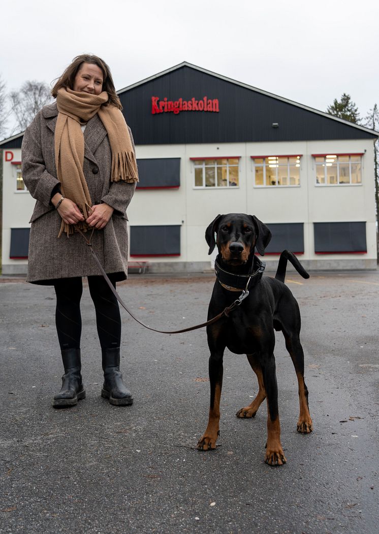 Årets bragdhund 2020