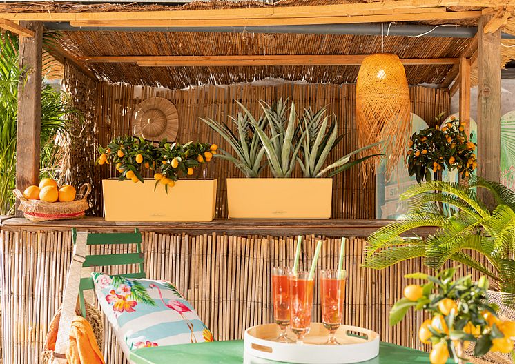 Wie ein Cocktail an der Tiki-Bar: der BALCONERA in der Sonderfarbe "Peach"