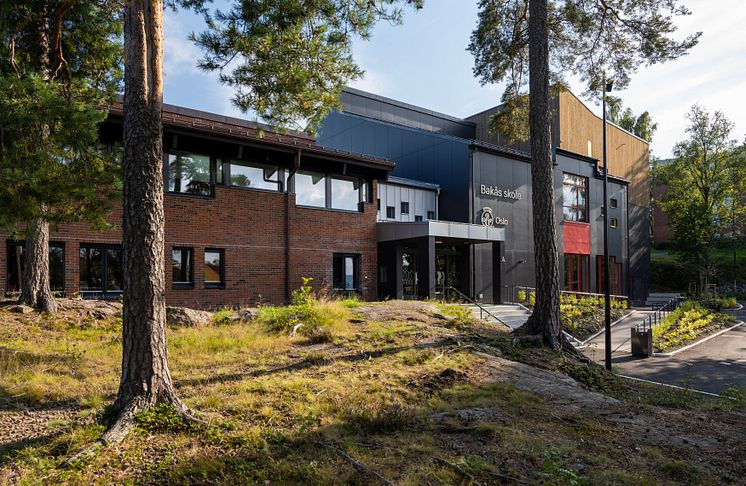 Bakås skole