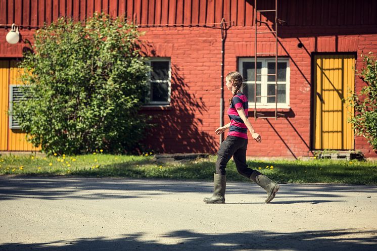 Tikan luomutilan pihapiiriä ja lypsyvastaava Veera