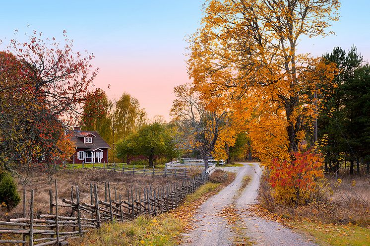 landscape-in-sweden_1000px