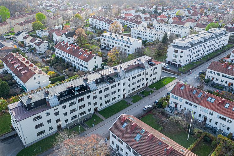 DJI_0602.jpg