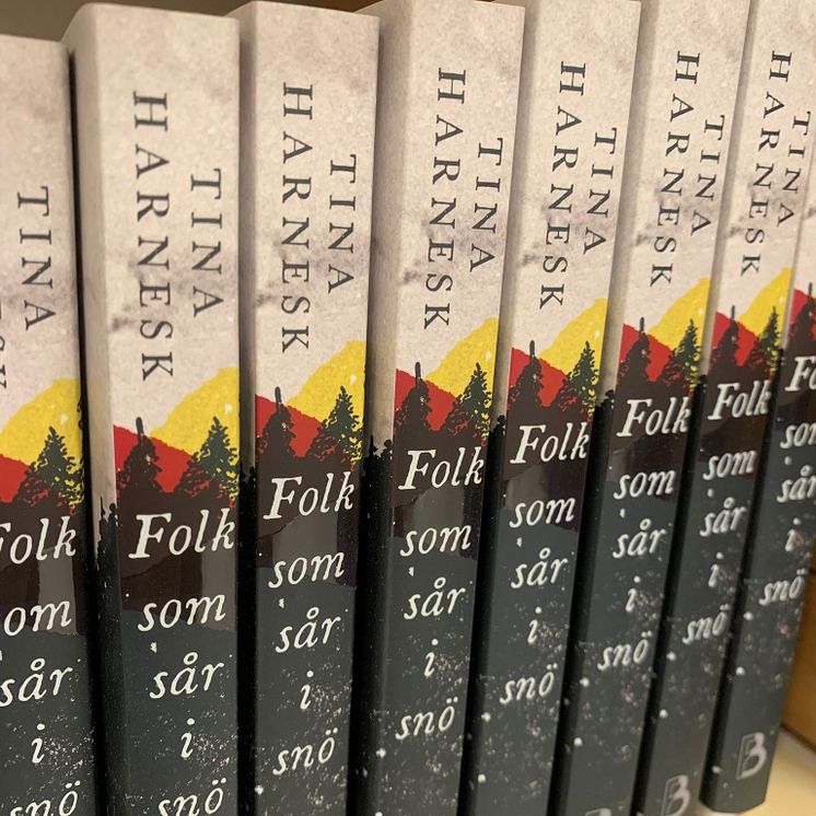 Folk som sår i snö giveaways-böcker.jpg