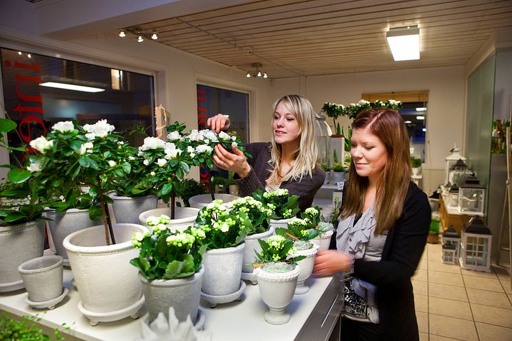 Unga entreprenörer i Lindesberg: De har drömjobben – i sin egen blomsterbutik