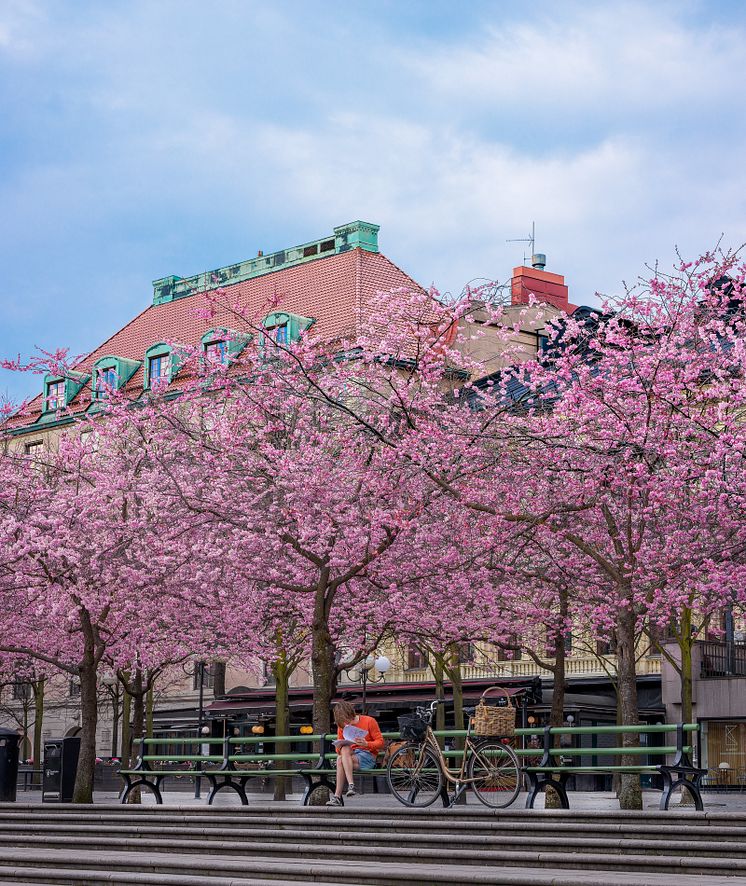 Nolasoffor, Kungsträdgården Stockholm.