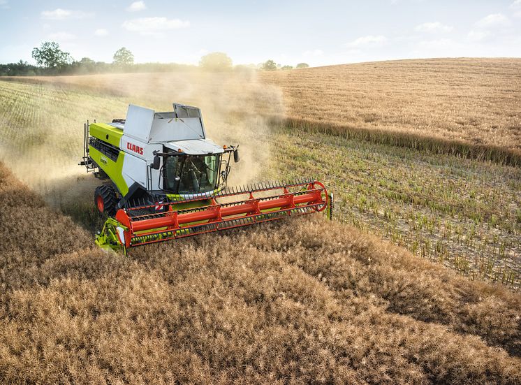 CLAAS LEXION 5500 TERRA TRAC med CONVIO FLEX 770 i rapsåker