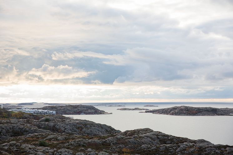 Gemensam strategi visar vägen framåt för svenskt fiske och vattenbruk