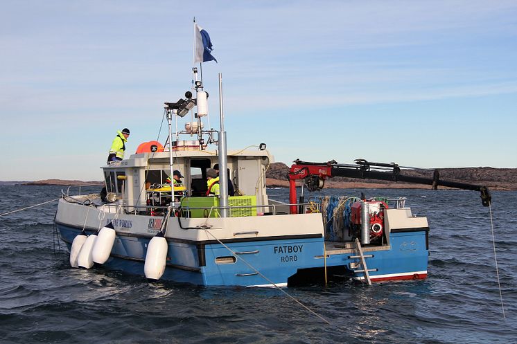 Saneringen av miljöfarliga vrak inleds: Nu töms fiskefartyget Thetis på olja