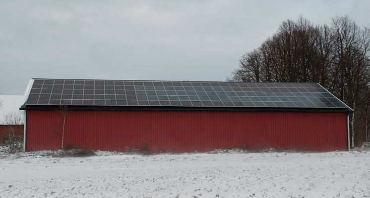 Solceller allt populärare inom lantbruket