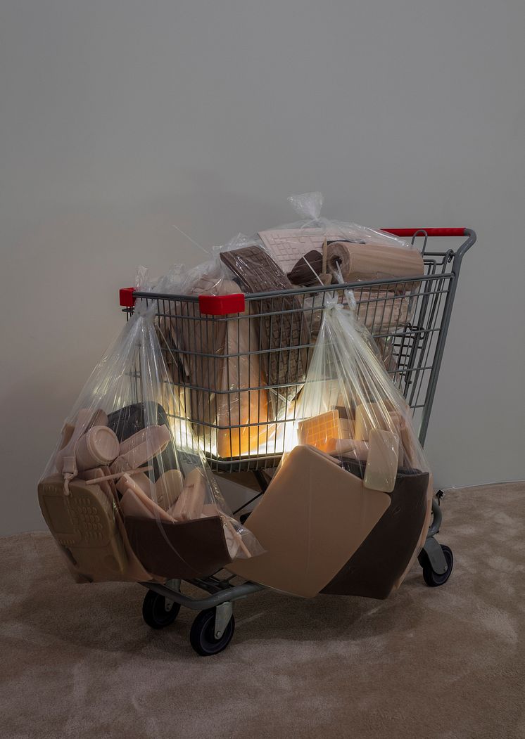 Josh Kline, Poverty Dilation, 2016