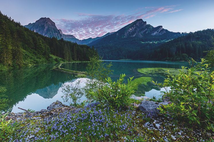 Obersee