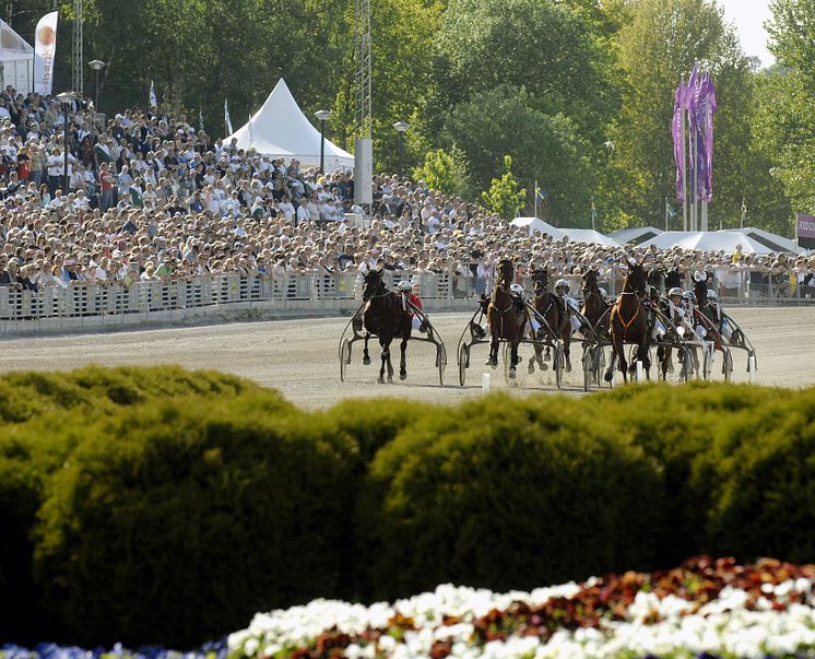 Elitloppet lockar alltid stor publik