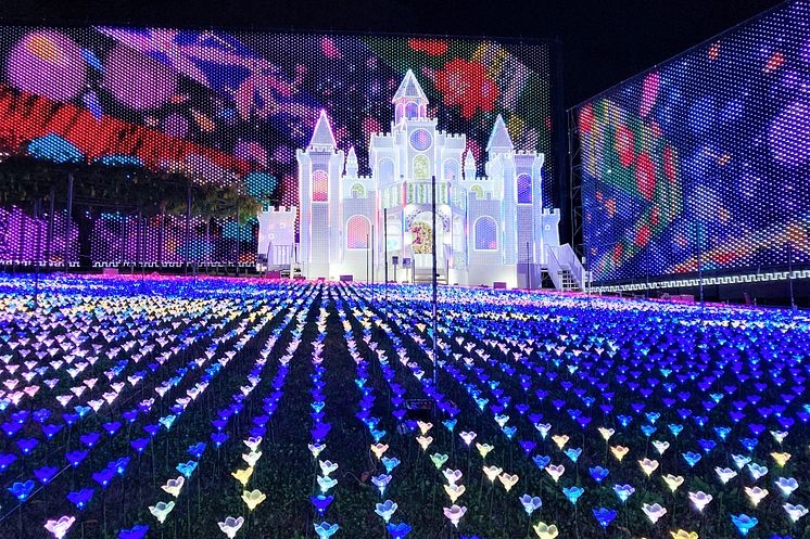 Flower Castle Light Up @ Ashikaga Flower Park