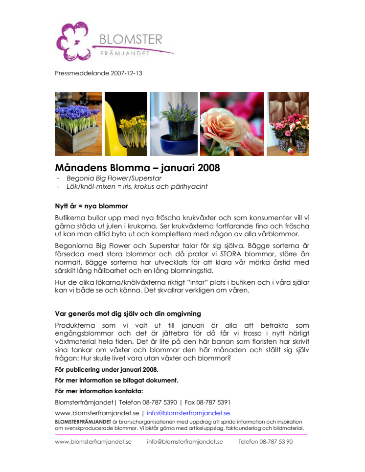 Månadens Blomma – januari 2008