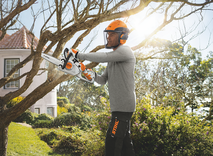 STIHL MS 151 - imagefoto