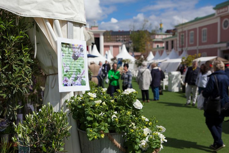 Lisebergs trädgårdsdagar