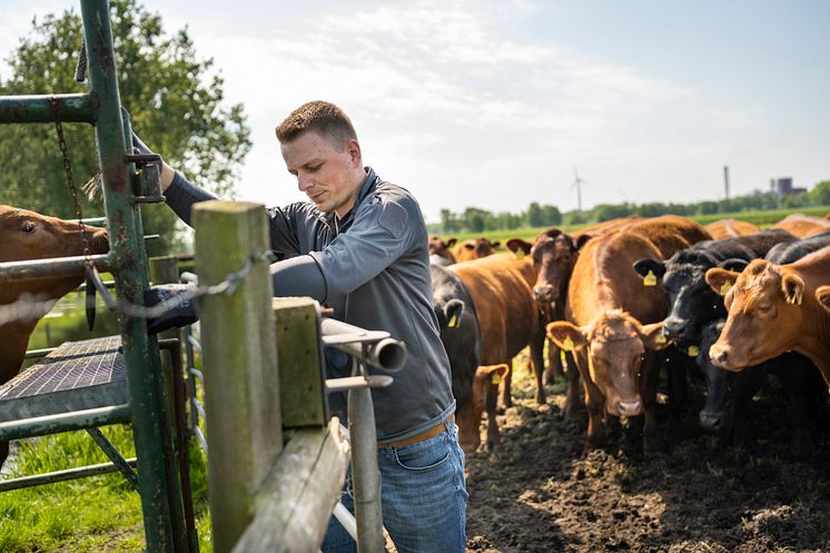 20230515_FML-LandwirtTag__DSC7393.jpg